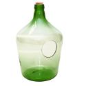Open terrarium fles L 10L 25x25x39 cm groen